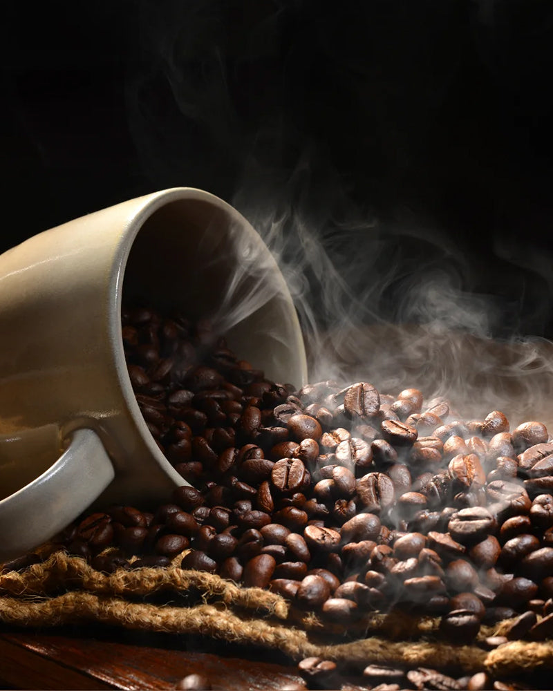 Robusta 100% Coffee Beans | AAA grade | coheaven whole beans